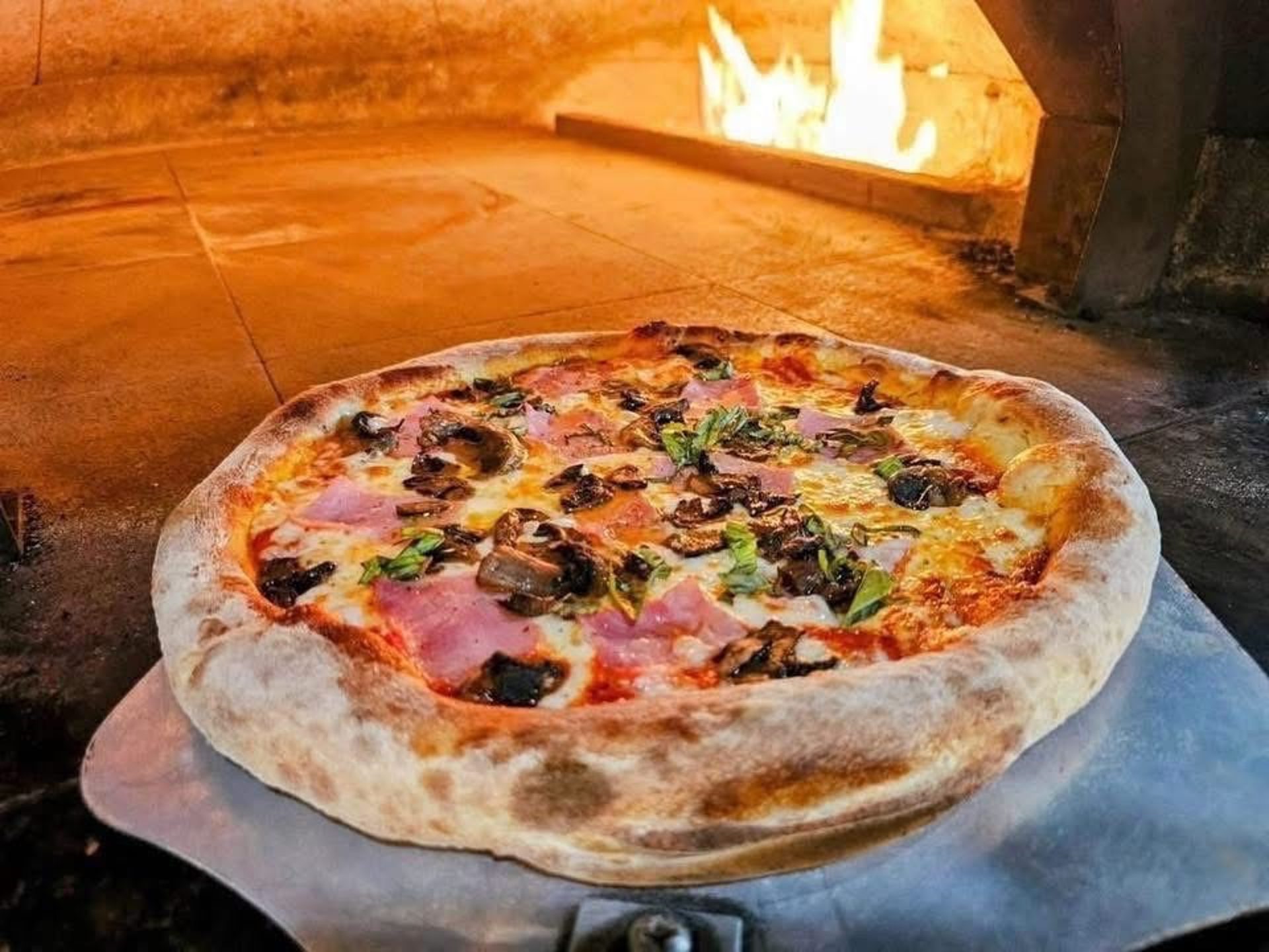 Authentic Italian Cuisine • Fresh Seafood • Premium Steaks • Wood-Fired Pizza